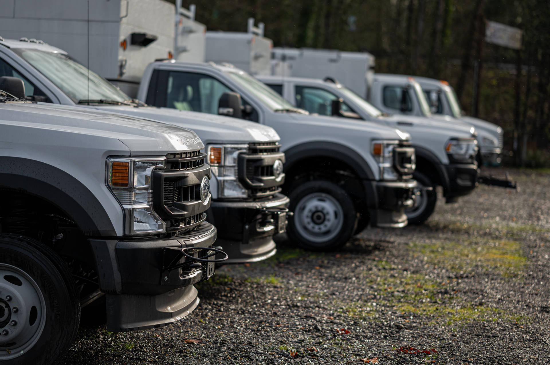 Exclusive AP Equipment Financing Arbor Truck inventory at WTD Monroe location